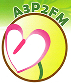 A3P2FM