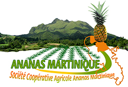 SCA Ananas Martinique