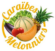 Caraïbes Melonniers