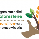 Agroforesterie 2020