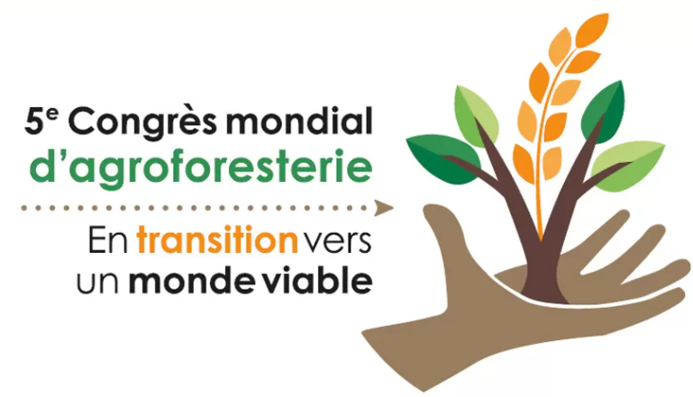 Agroforesterie 2020