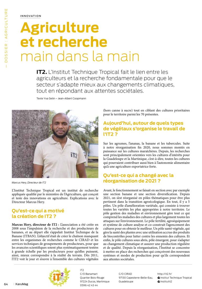 it2 intstitut technique tropical banane guadeloupe martinique
